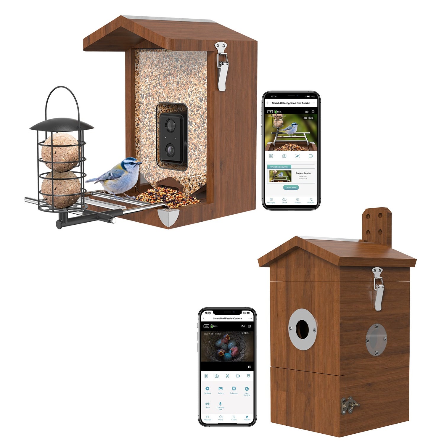 Holz-Vogelhaus mit integrierter Überwachungskamera, Futterschale und Meisenknödelhalter, daneben Smartphone mit Live-Ansicht der Vogelbeobachtungs-App