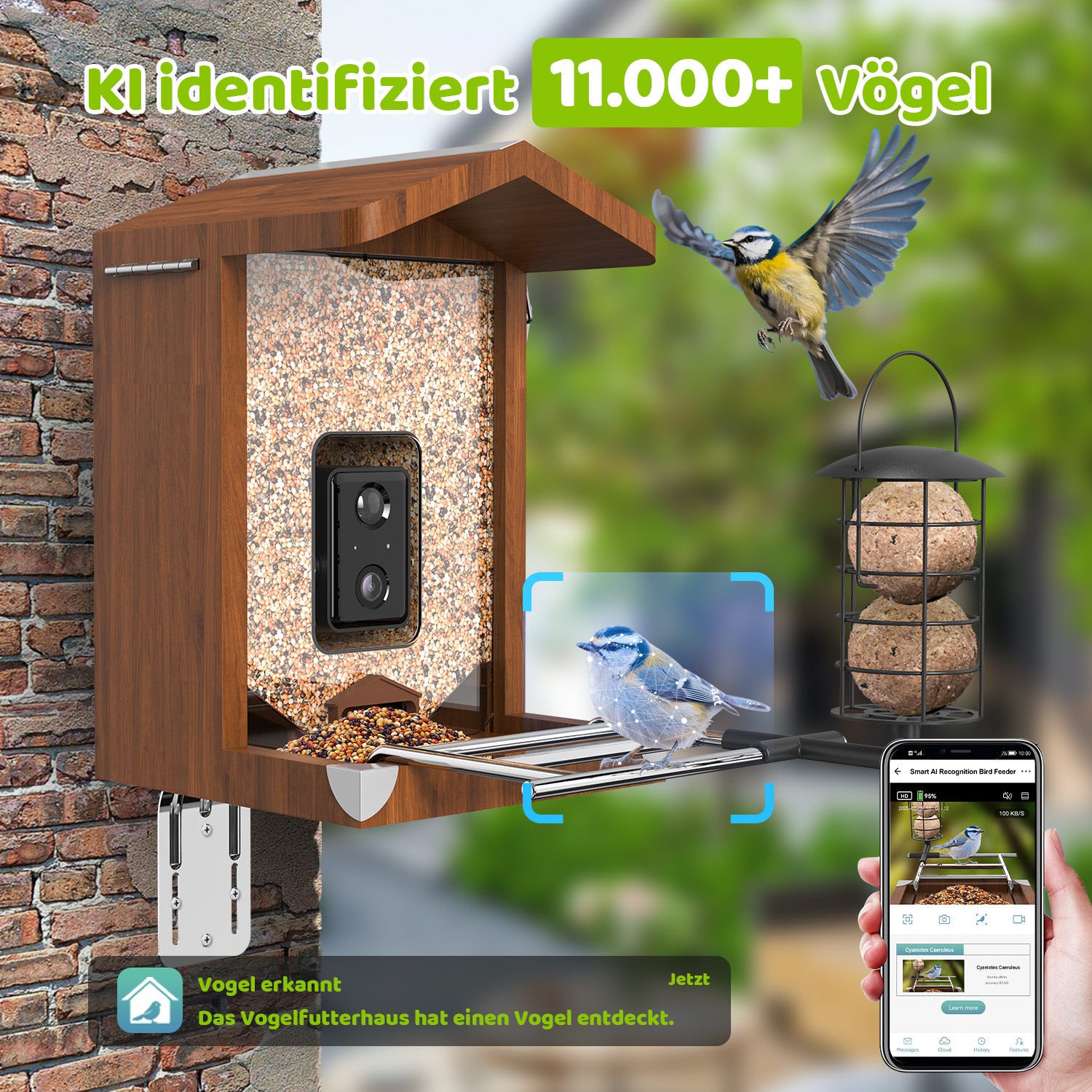 Hölzernes Vogelhäuschen mit integrierter Kamera und Sichtfenster voller Samen, Metall-Sitzstange mit Blaumeise, daneben Knödelhalter und Smartphone mit App zur KI-Vogelerkennung (11.000+ Arten), an Backsteinwand montiert