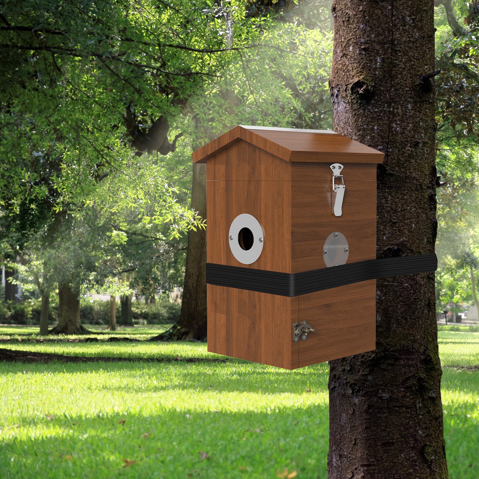 Holz-Vogelhaus mit integrierter Kamera, metallumsäumte Einflugöffnung, Verriegelung und Gurt am Baum befestigt, grüner Parkhintergrund