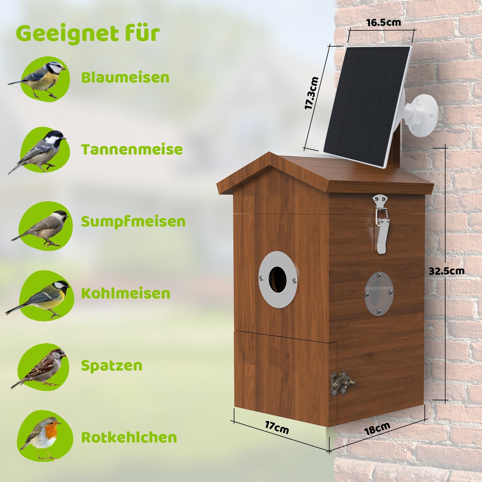Solarbetriebener Holz-Nistkasten mit integrierter Kamera an Ziegelwand, Maße 32,5 × 17 × 18 cm, geeignet für Blaumeise, Tannenmeise, Sumpfmeise, Kohlmeise, Spatz und Rotkehlchen