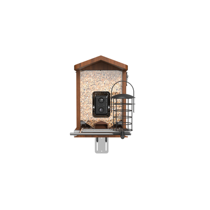 Holz-Vogelhaus mit transparenter Körnerfüllung, integrierter Doppel-Kamera, seitlichem Metall-Futterkorb, Sitzstange und Montagehalter