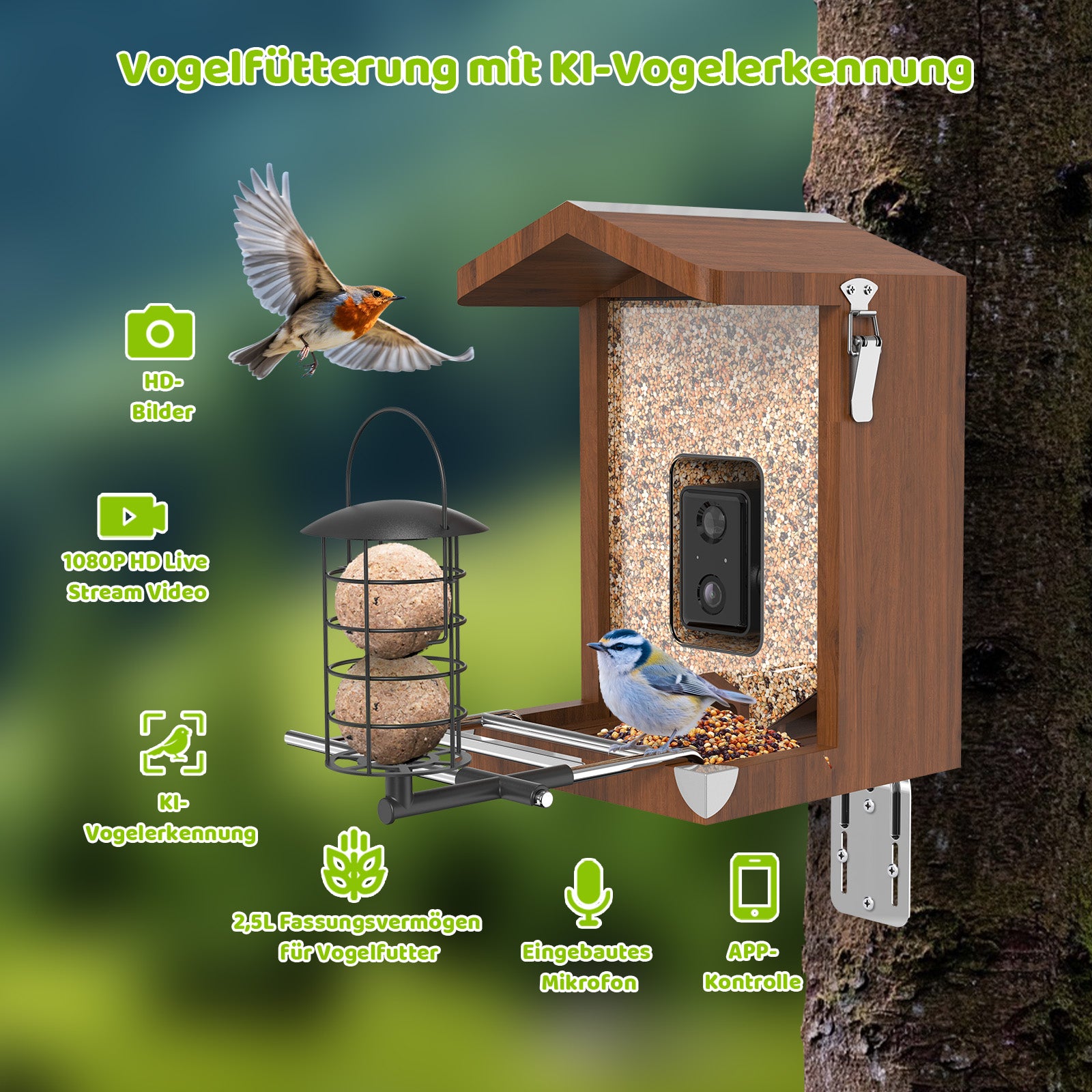 Holz-Vogelhaus mit integrierter Kamera und Futterkammer, Meisenknödelhalter und Halterung an einem Baum; eine sitzende Blaumeise und ein fliegendes Rotkehlchen; Icons für HD-Bilder, 1080p Live-Stream, KI-Vogelerkennung, 2,5 L Futterkapazität, eingebautes Mikrofon und App-Steuerung