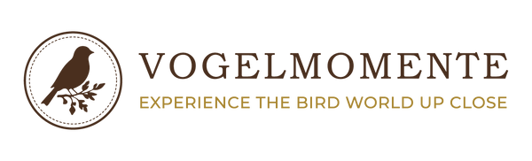 Vogelmomente