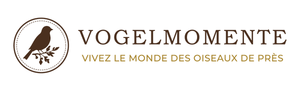 Vogelmomente