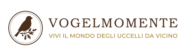 Vogelmomente
